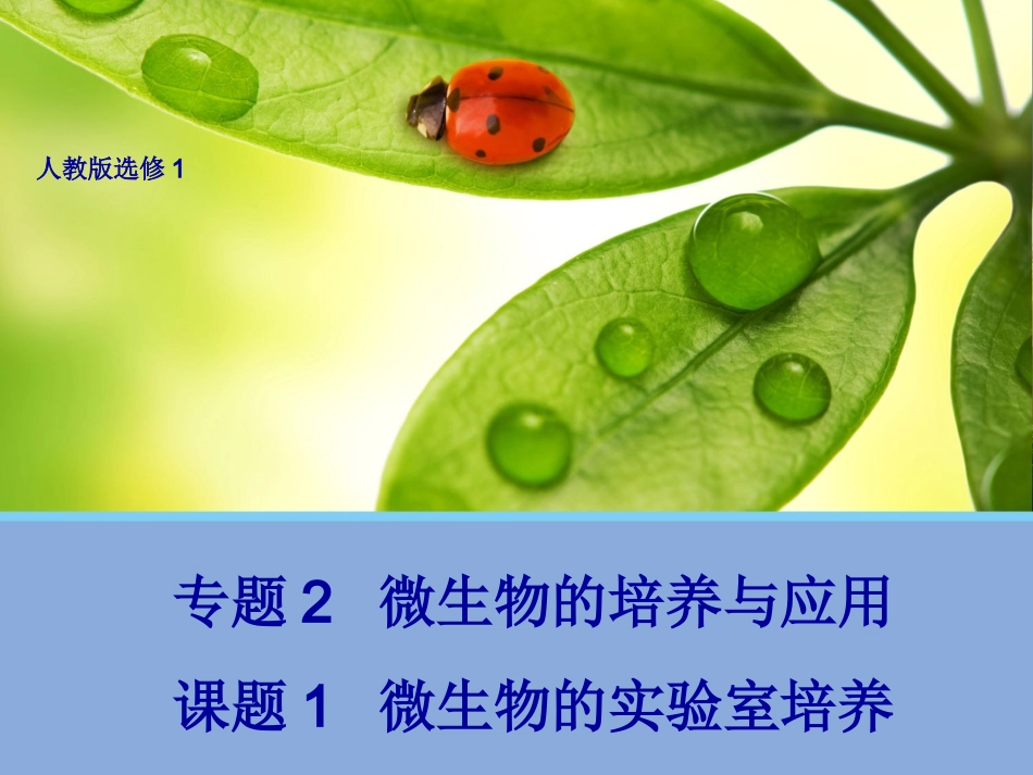 【生物】21微生物的实验室培养课件（人教版选修1）_第1页