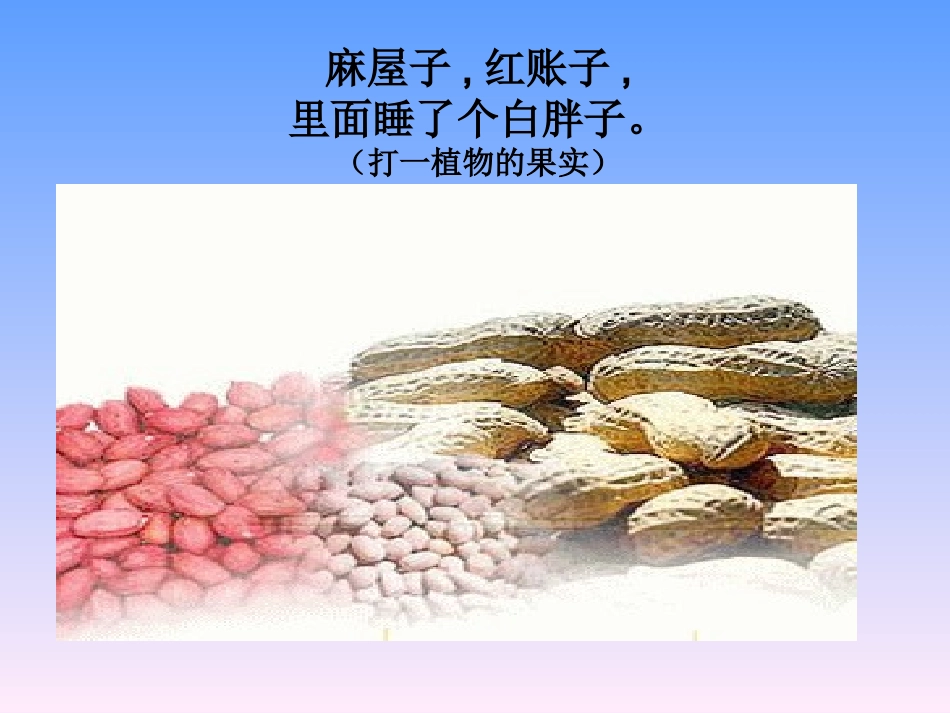 落花生 (7)_第1页