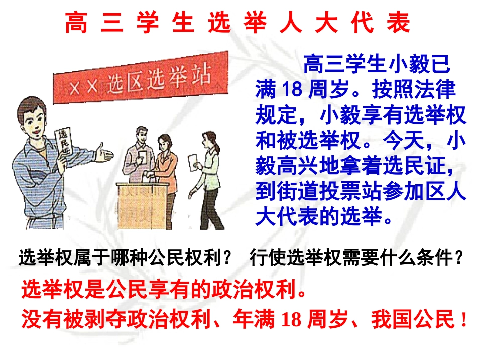 依法参与政治生活 (2)_第2页