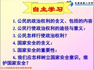 依法参与政治生活 (2)