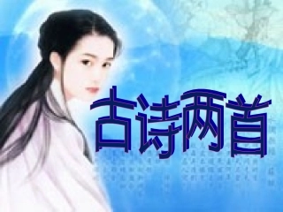 三年级语文下册29《古诗两首》