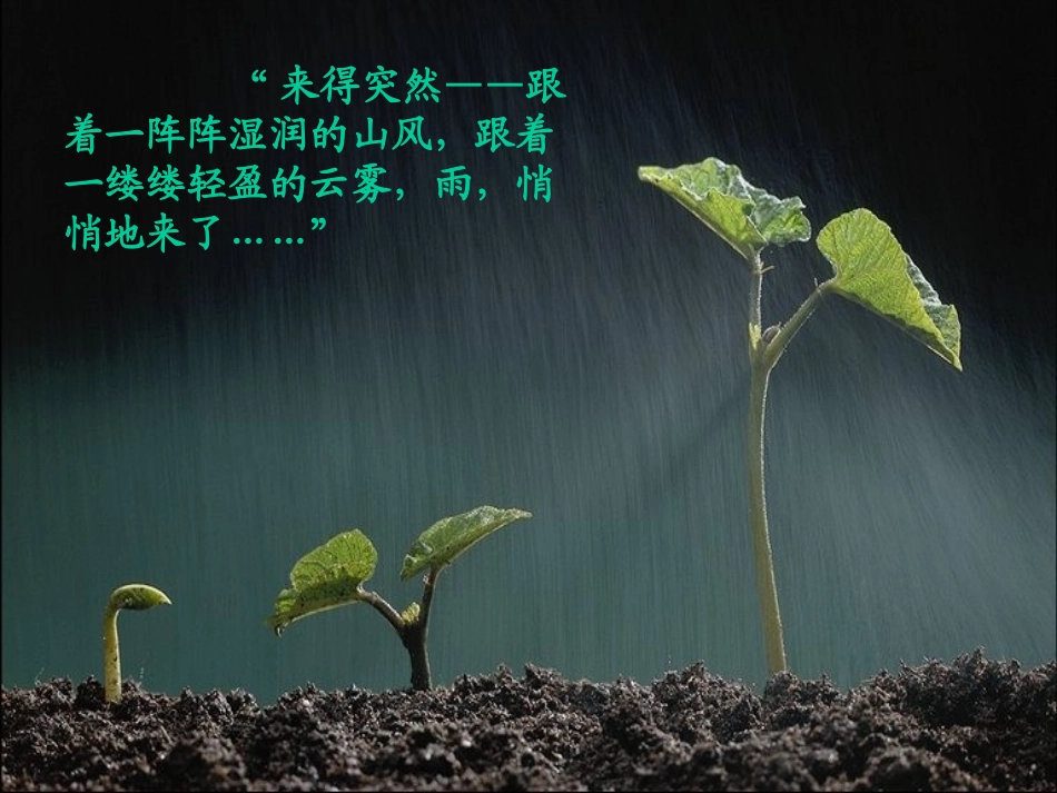 山雨PPT课件 (2)_第2页