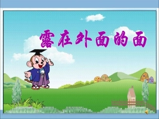 露在外面的面