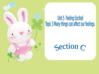 八下Unit5Topic3SectionC