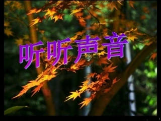 声音第一节课：听听声音