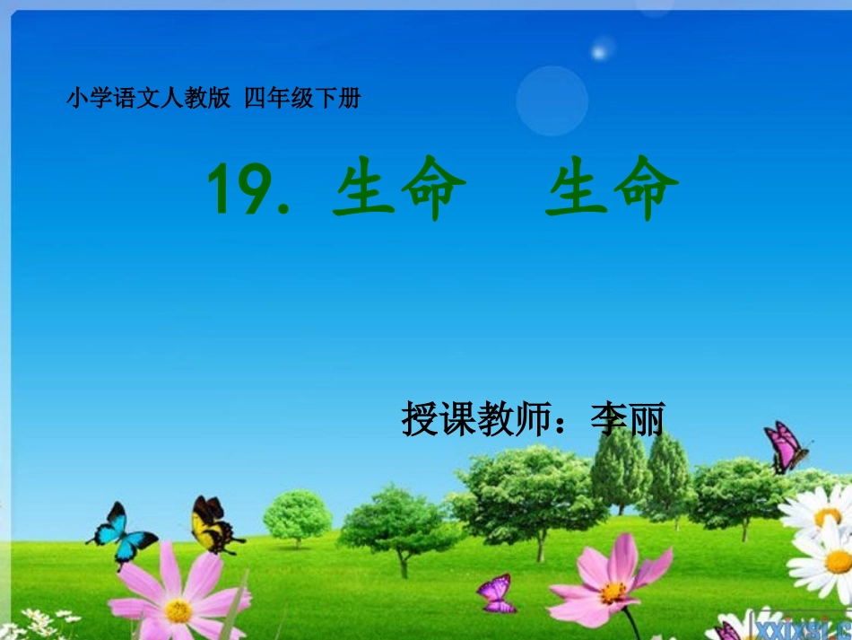 生命生命 (2)_第1页