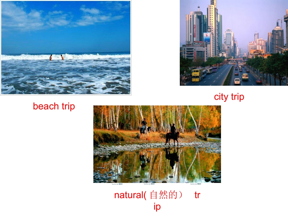 新目标Go+for+it版+八年级下++Unit+9+Have+you+ever+been+to+a+museum_+Section+B3a（共17张PPT）_第2页