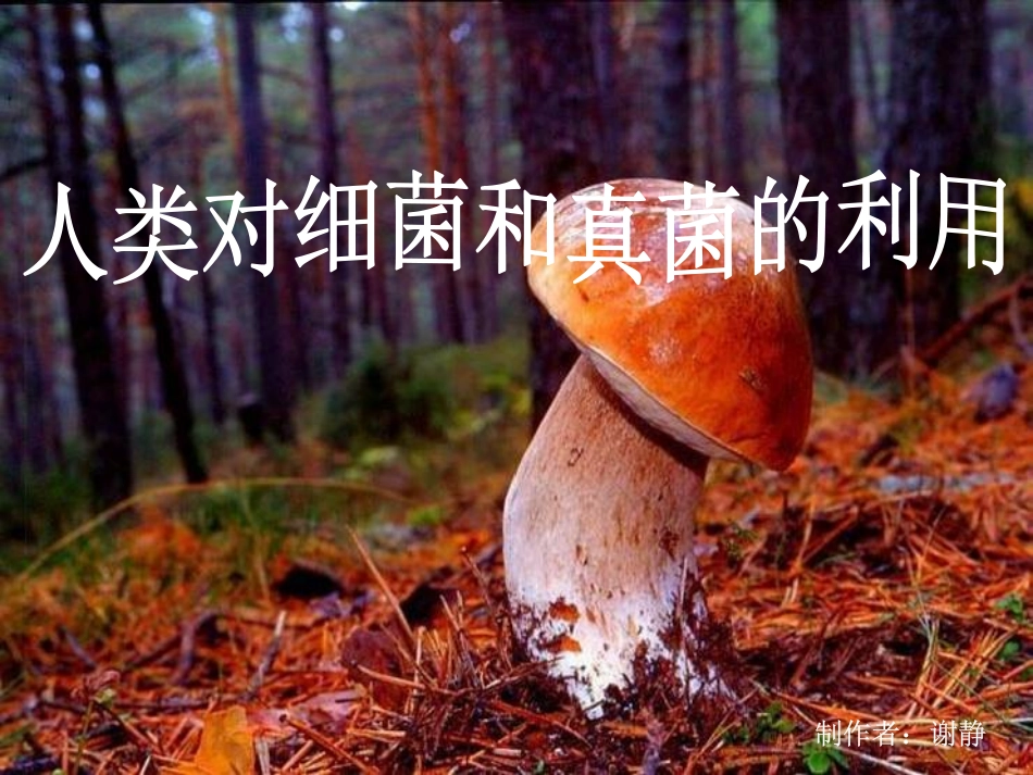 人类对细菌和真菌的利用222_第1页