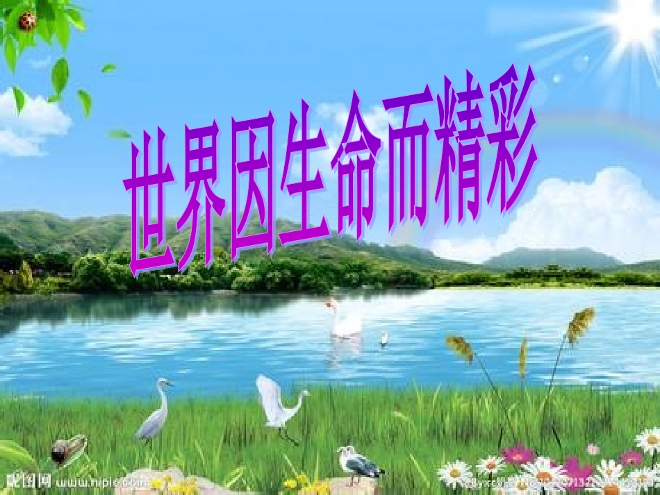 世界因生命而精彩_第2页