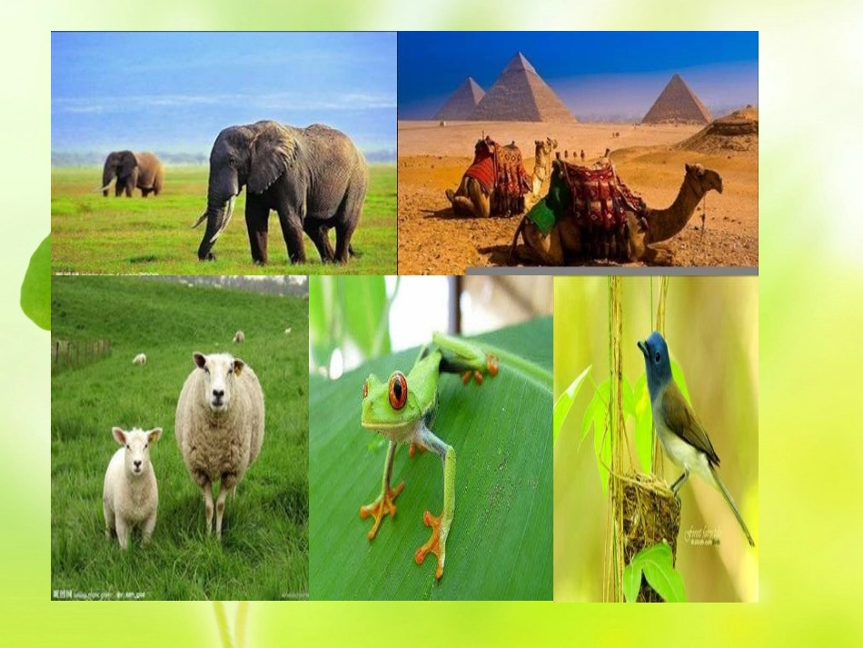 世界因生命而精彩_第3页