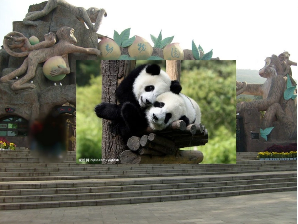 刘建芳七年级课件_第2页