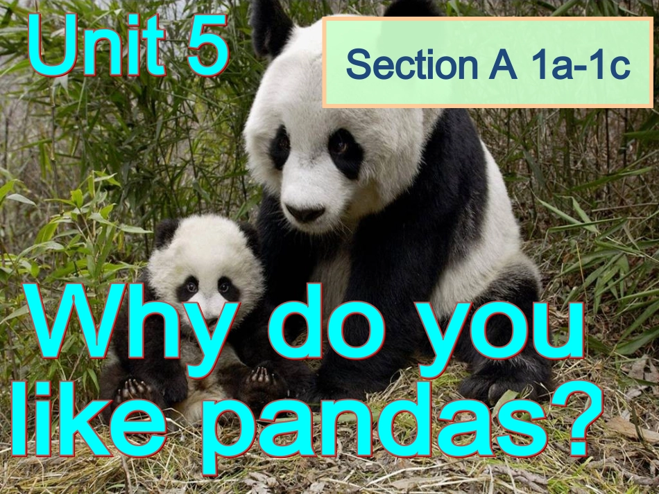 刘建芳七年级课件_第3页