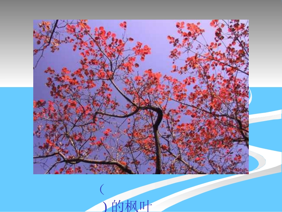 人教版小学语文二年级上册《蓝色的树叶》PPT课件_第3页
