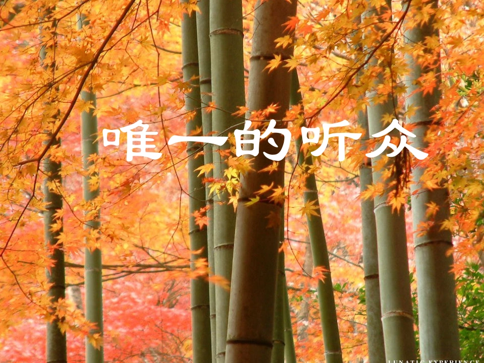 唯一的听众[1]_第1页