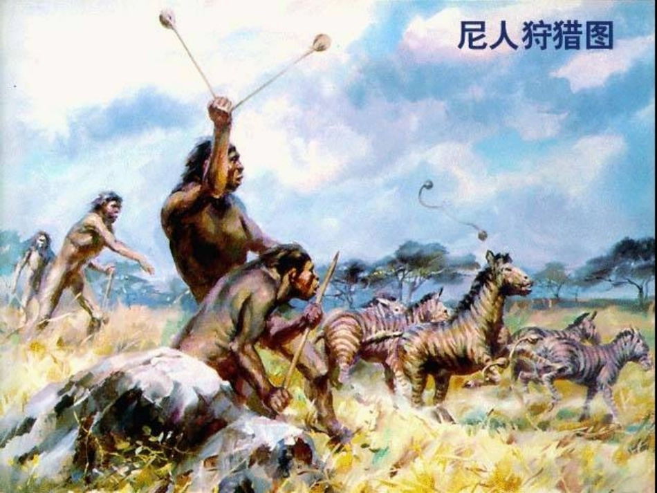 《成长在社会》PPT课件_第3页