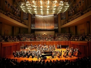 小小音乐家修改后