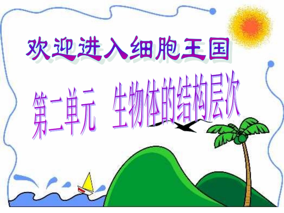 显微镜的使用 (3)_第1页