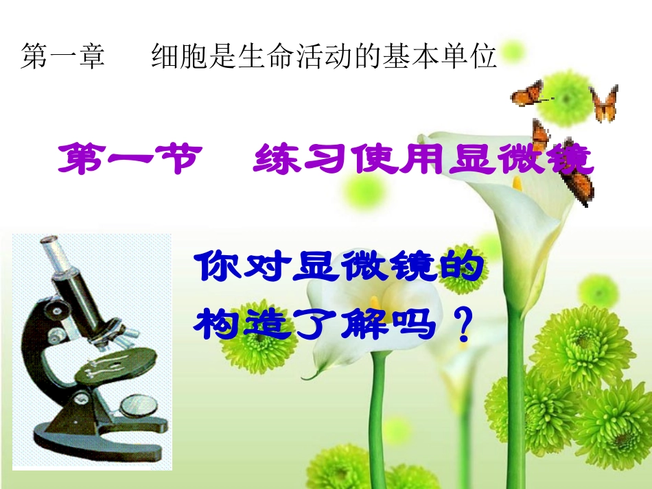 显微镜的使用 (3)_第2页