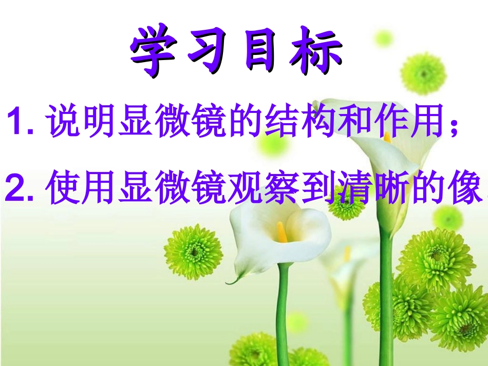 显微镜的使用 (3)_第3页