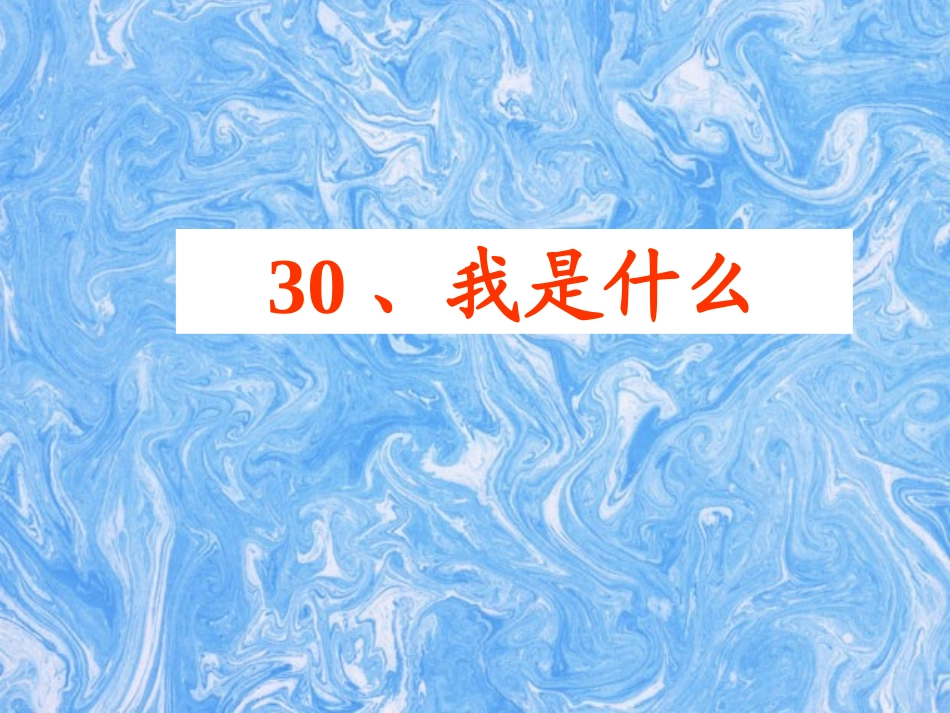 我是什么（自设）_第1页