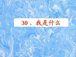 我是什么（自设）
