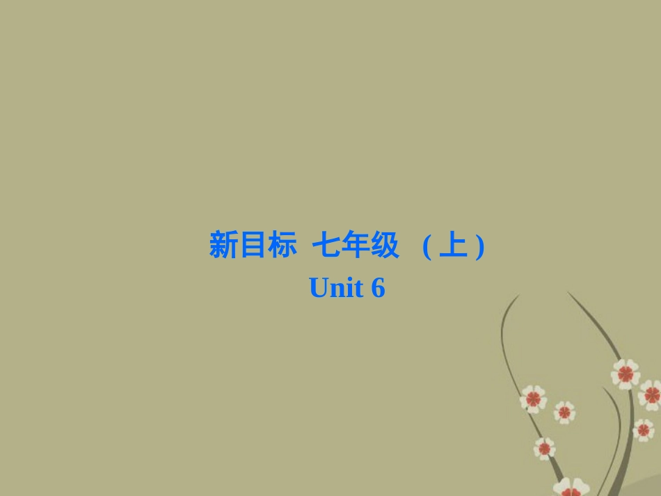 七年级英语上册Unit6DoyoulikebananasSectionB1_第1页