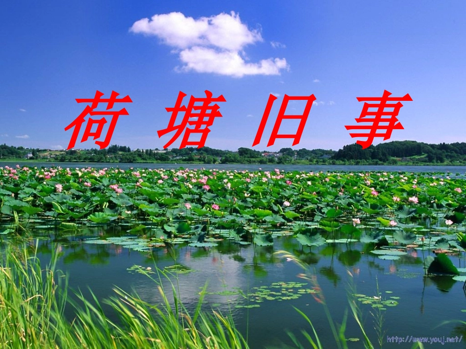 《荷塘旧事》教学课件_第1页