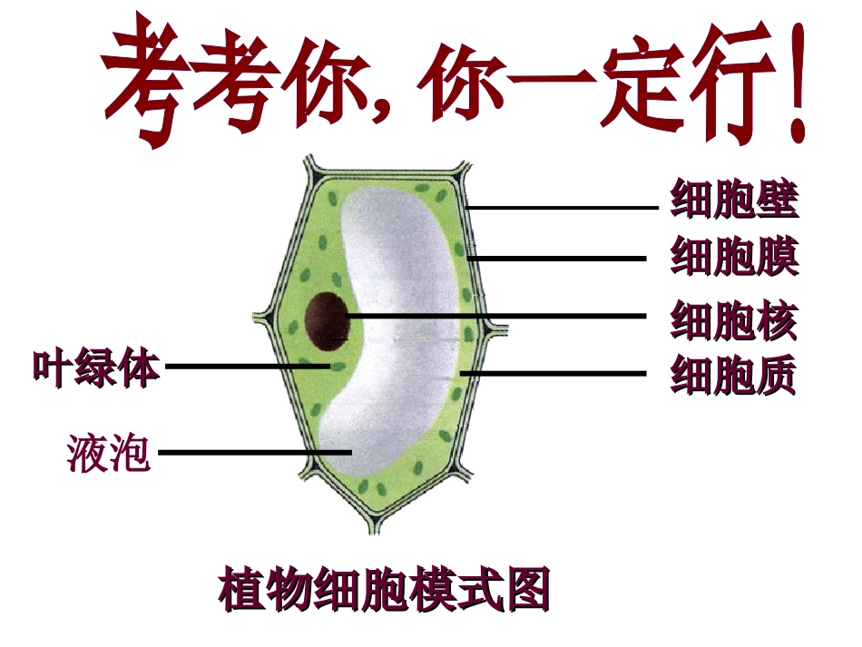 细胞的生活需要物质能量_第3页