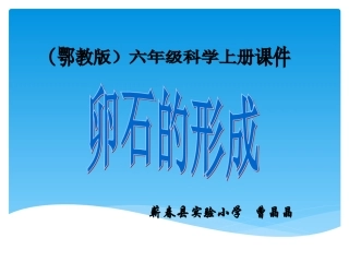 课件——卵石的形成