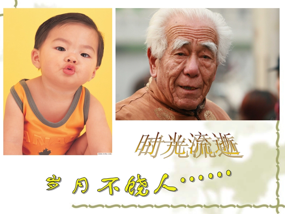 细胞的衰老和凋亡_第1页