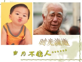 细胞的衰老和凋亡