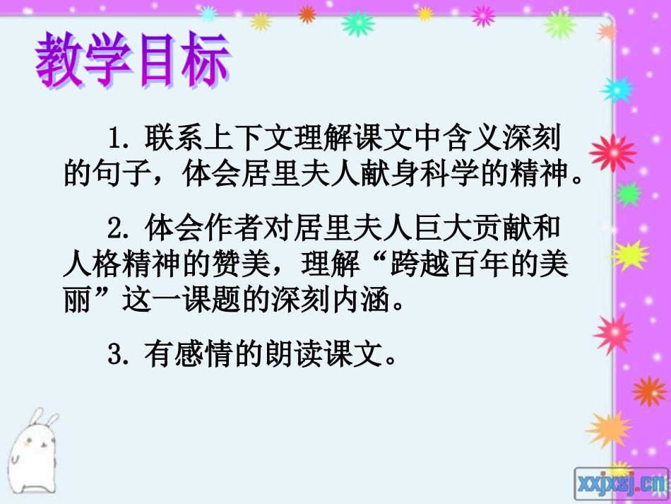 跨越百年的美丽课件_第2页