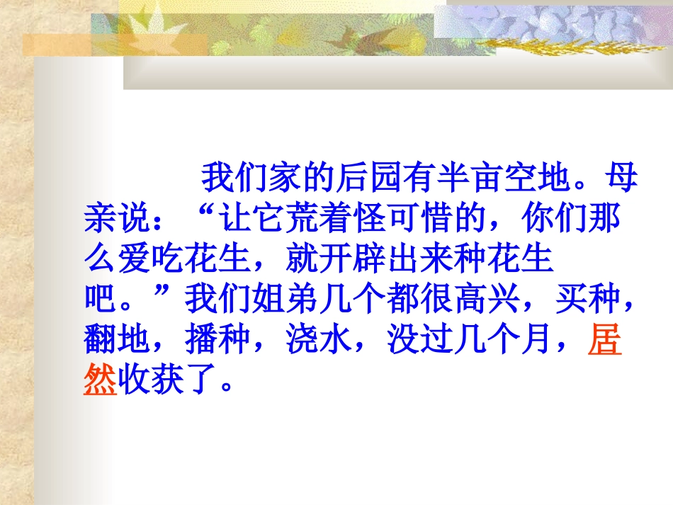 《落花生》课件 (2)_第3页