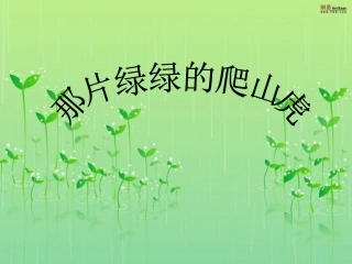 于路路那片绿绿的爬山虎