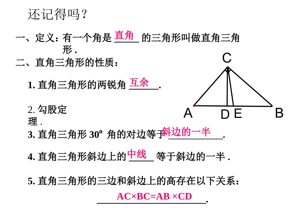《直角三角形》复习课_第2页