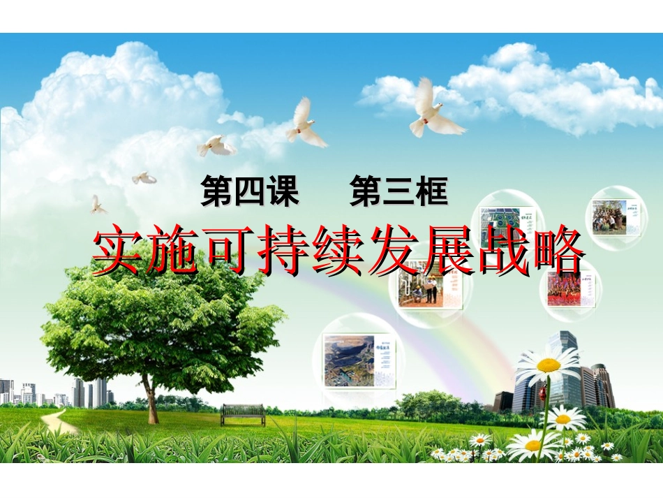 实施可持续发展战略 (4)_第1页