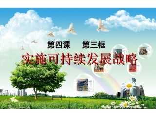 实施可持续发展战略 (4)