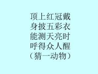 鸡兔同笼课件---李芳