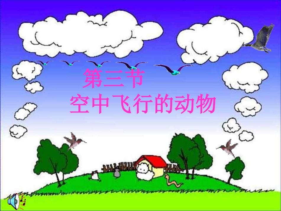 空中飞行的动物---鸟_第1页