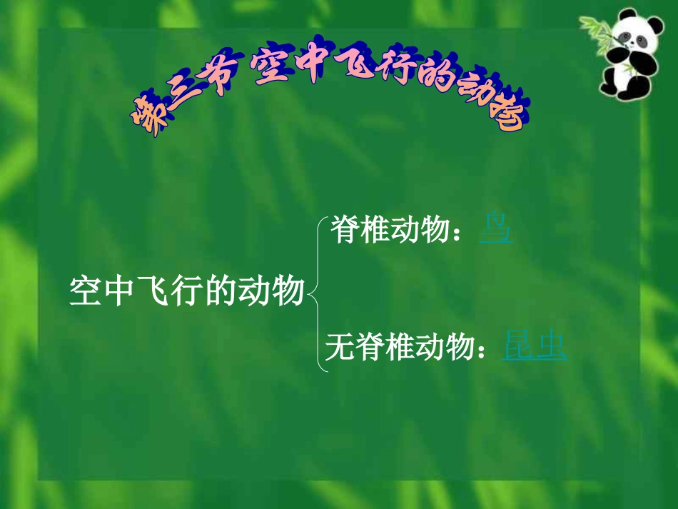 空中飞行的动物---鸟_第2页