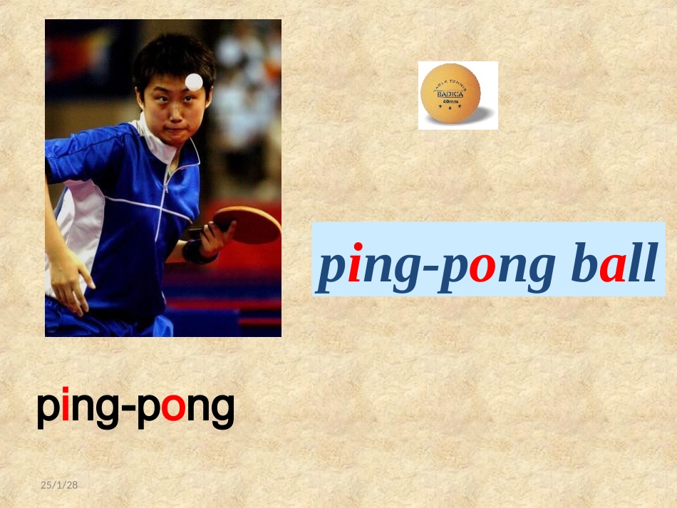 七上unit5(1)_第3页