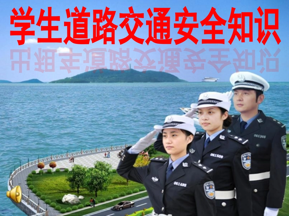 小学生道路交通安全知识讲座_第1页