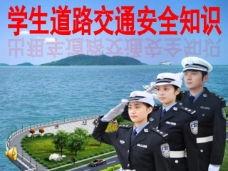 小学生道路交通安全知识讲座