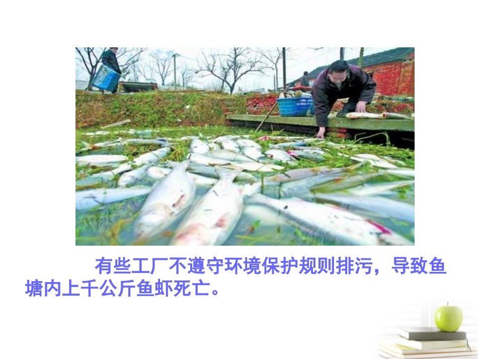 四年级语文下册谁说没有规则2课件北师大版_第2页