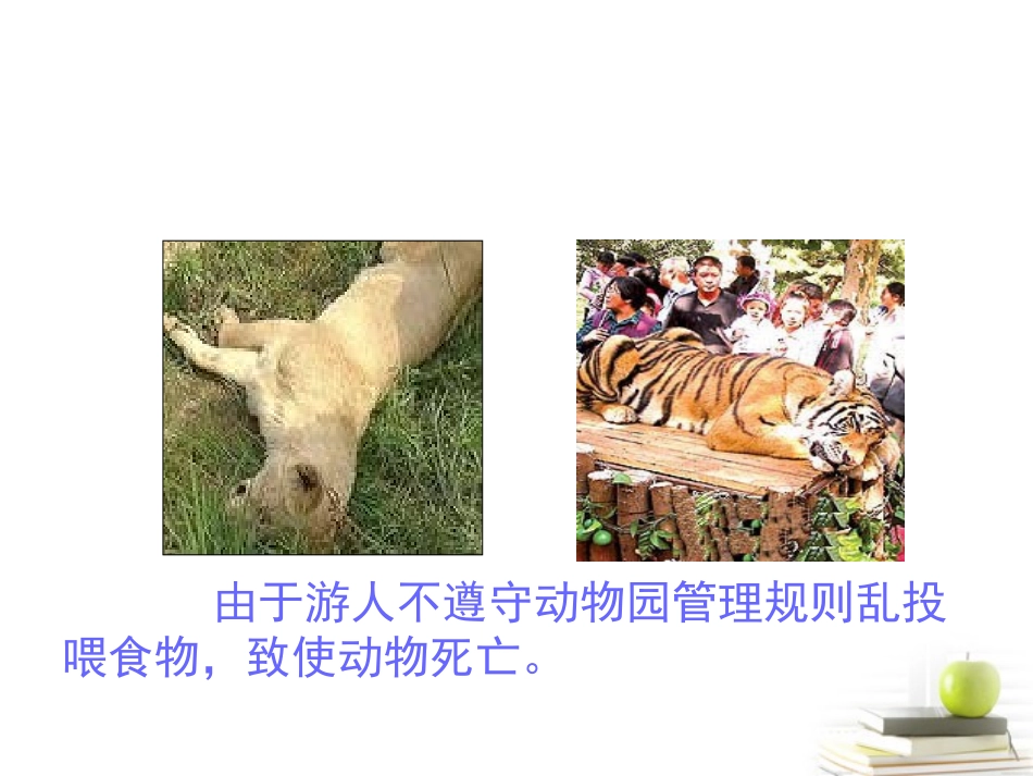 四年级语文下册谁说没有规则2课件北师大版_第3页