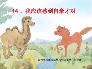 我应该感到自豪才对 (2)