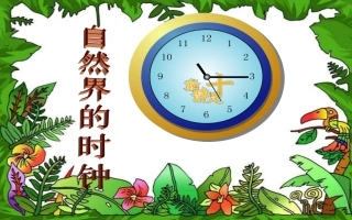 《自然界的时钟》