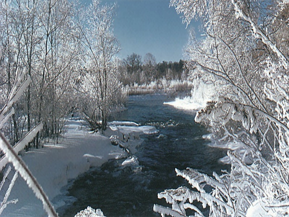 土地的誓言 (3)_第2页