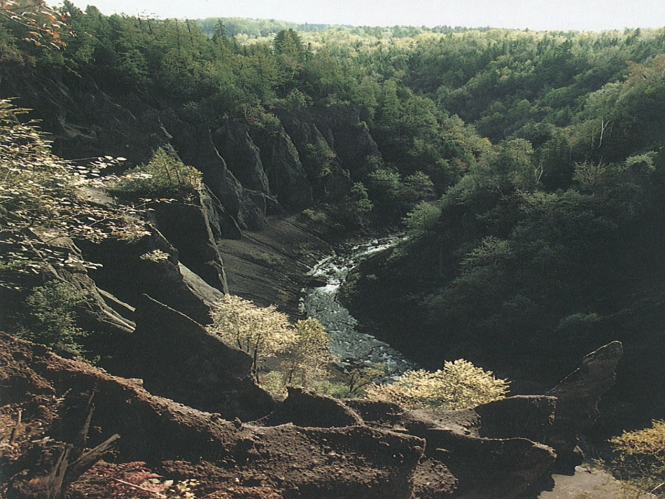 土地的誓言 (3)_第3页