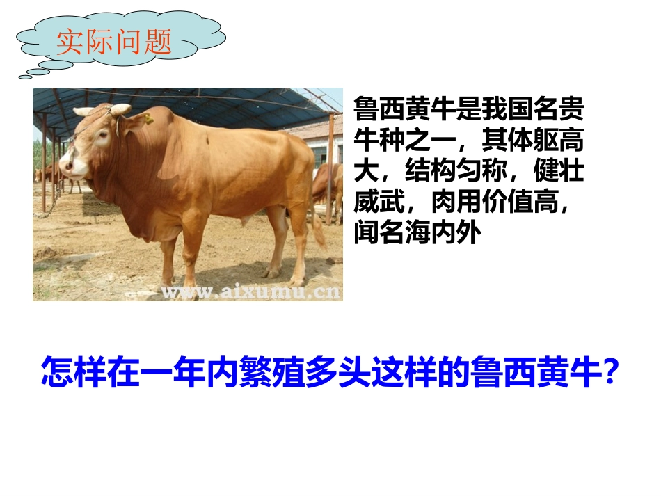 受精及胚胎发育过程8888_第1页